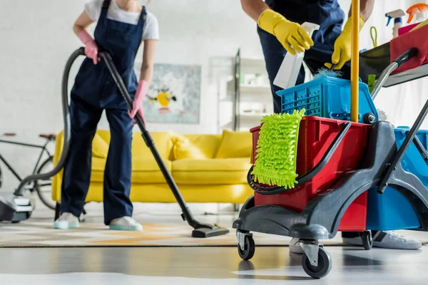 Professional cleaning service